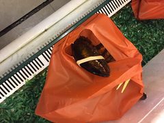 iphone_upload_pic-金八仙酒店