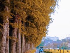 -乌龙涧铁道铁轨景