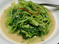 -新荣记(南京西路店)