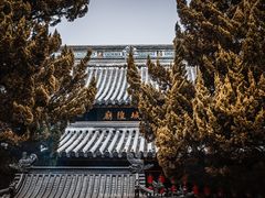 -秋霞圃