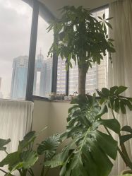 -Fancy梵汐·轻奢量肤定制
