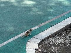 -黛秀湖公园