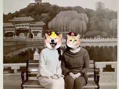 -和平菓局(王府井店)