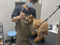 -瑞鹏宠物医院·骨外科·心肾科·肿瘤科(九亭店)