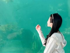 -广东惠东海龟国家级自然保护区