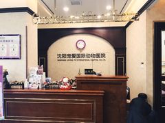 -宠爱国际动物医院· 猫科· 外科·中兽医(长白店)