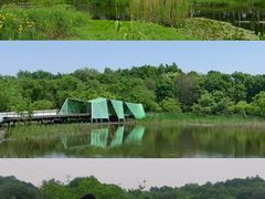 -西湖风景区-江洋畈生态公园