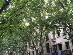 -璐坊粽王(复兴中路店)