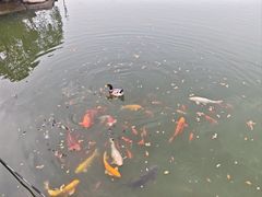 -白马涧龙池景区