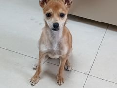 -宠颐生·恒爱宠物医院(静海店)