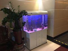 -午月海鲜烧烤酒店(不老街店)