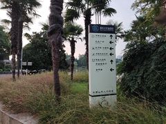 -月湖风景区