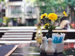 -清迈菩提塞雷纳