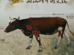 -潮汕牛肉火锅(铁西店)