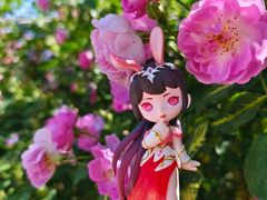 -国家植物园