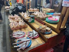 -西归浦每天偶来市场