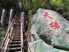 -茅兰沟国家森林公园