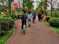 -白鹭湾湿地公园