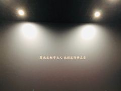 -百丽宫影城(CGS激光苏宁广场店)