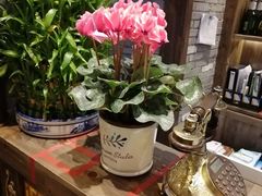 -蜀大侠火锅(四川北路店)