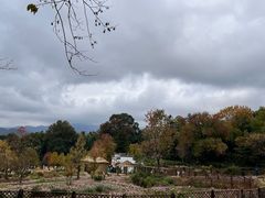 -塔川景区