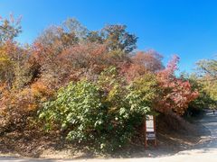 -北京西山国家森林公园