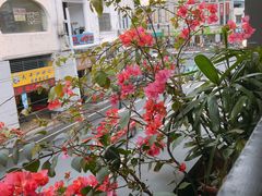 -打趸BTC·Breaktime cafe(北京路店)