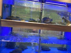 -王捌小院(红花坡店)