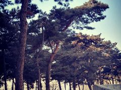 沈阳市摄影艺术家协会-东北大学(南湖校区)
