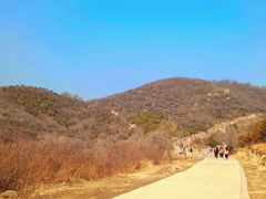 -北京西山国家森林公园