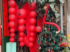 -溪岸路花鸟市场