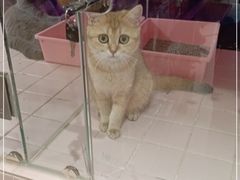 -FAELING PETS美天灵宠物(富力广场店)