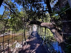 -海南热带雨林国家公园吊罗山景区