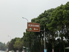 -都江堰中华大熊猫苑