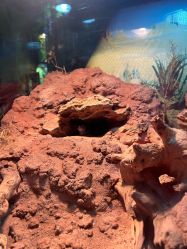 -酷嗒动物文化乐园(cutezoo西溪乐天城店)