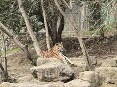 -宁波野生动物园