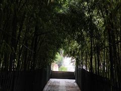 -红螺寺