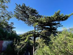-圣莲山风景区