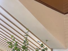 -霸王茶姬(正佳广场店)