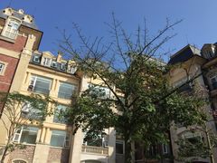 -中旅阿那亚九龙湖·公主酒店