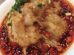 -辣四方新派川菜