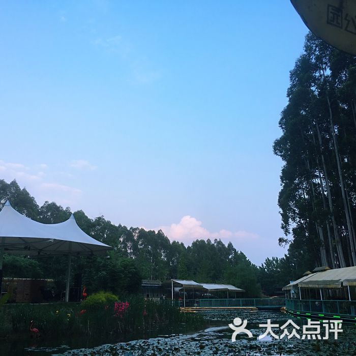 心花怒放party花园