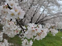 -苏州上方山国家森林公园