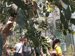 -北京植物园-展览温室
