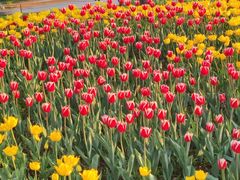 -长春公园(普阳街道)