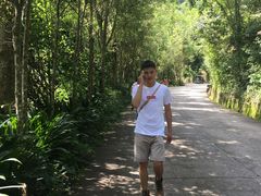 -西双版纳原始森林公园