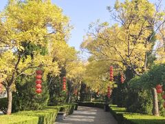 -大槐树寻根祭祖园