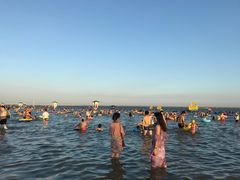 -碧海金沙