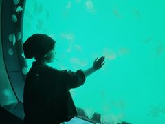 -沈阳海洋探索中心