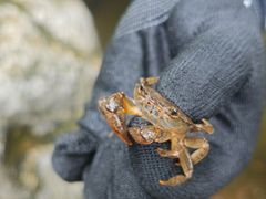 -华蓥山天意谷景区